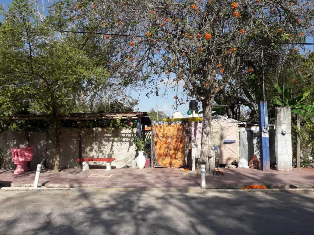 Hostal Y Camping Las G Бакалар Экстерьер фото